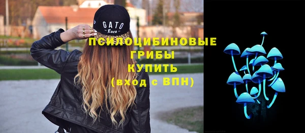 кокс Баксан