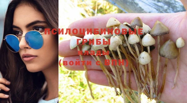 кокс Баксан