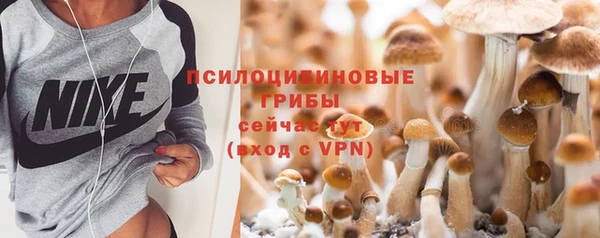 кокс Баксан