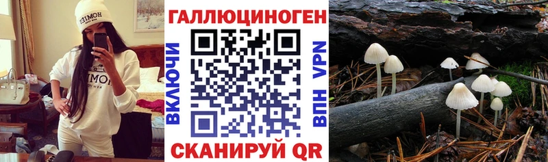мега как войти  Корсаков  Псилоцибиновые грибы ЛСД 
